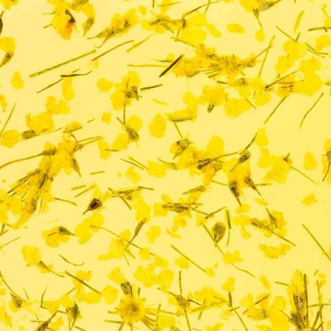 Гель з сухоцвітом Flower Gel №05, 4 мл