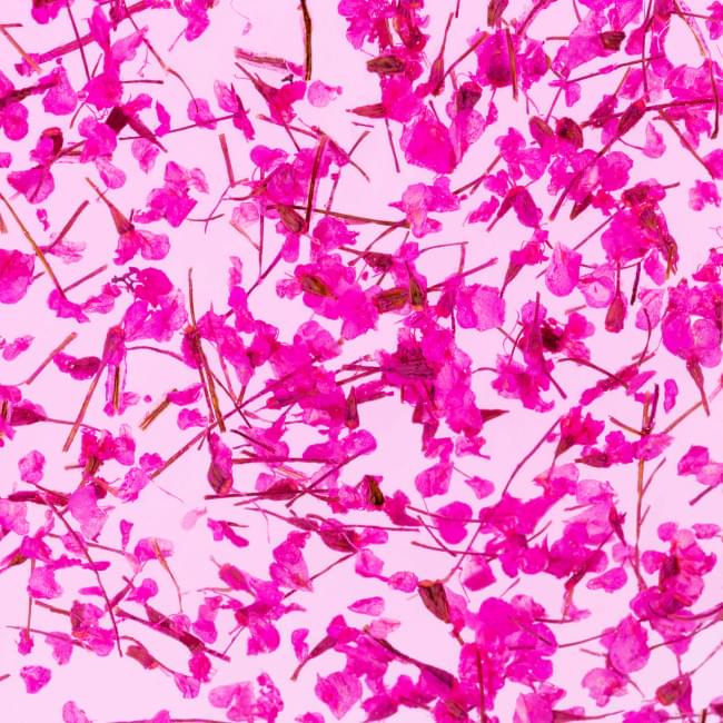 Гель с сухоцветом Flower Gel №07, 4 мл