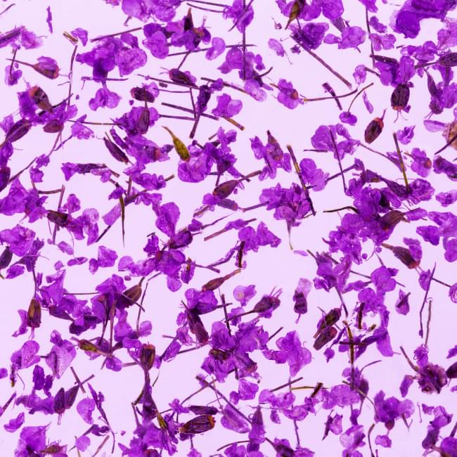 Гель с сухоцветом Flower Gel №08, 4 мл
