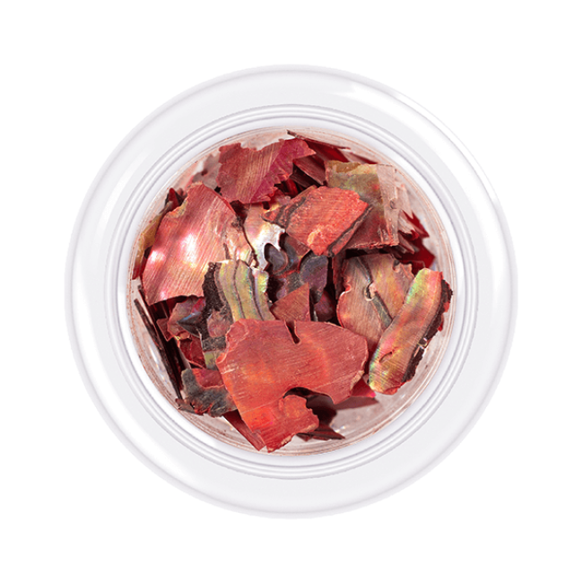 Мушля для нігтів Shells style, відтінок №06, 3 г Мушля для нігтів Shells style, відтінок №06, 3 г