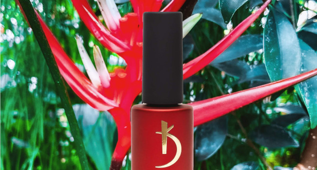 Что такое база для ногтей?