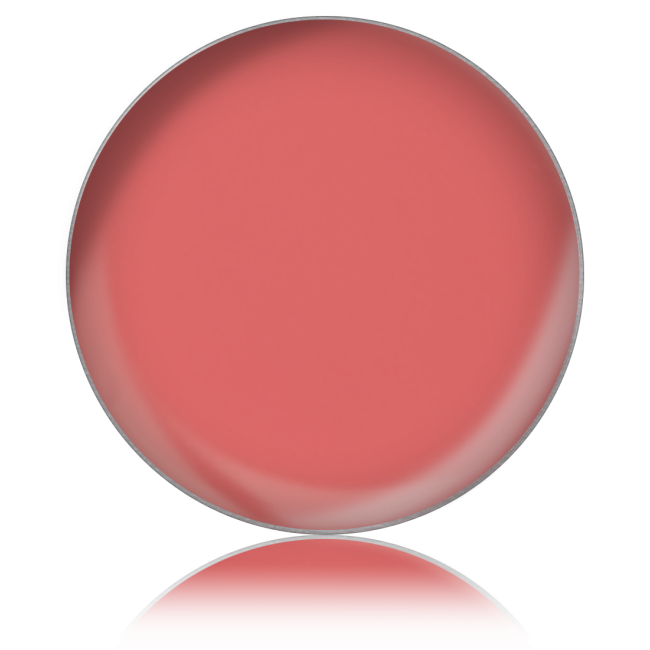 Помада для губ в рефілах Lipstick color PL № 49, 26 мм Помада для губ в рефілах Lipstick color PL № 49, 26 мм