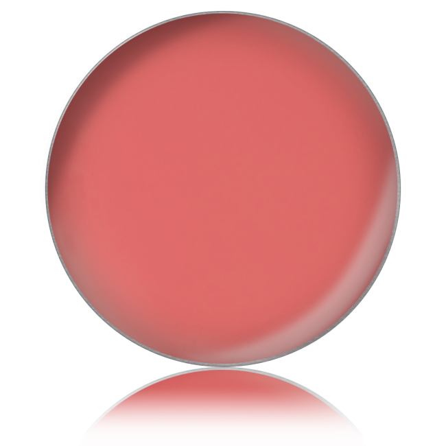 Помада для губ в рефилах Lipstick color PL №67, 26 мм Помада для губ в рефилах Lipstick color PL №67, 26 мм