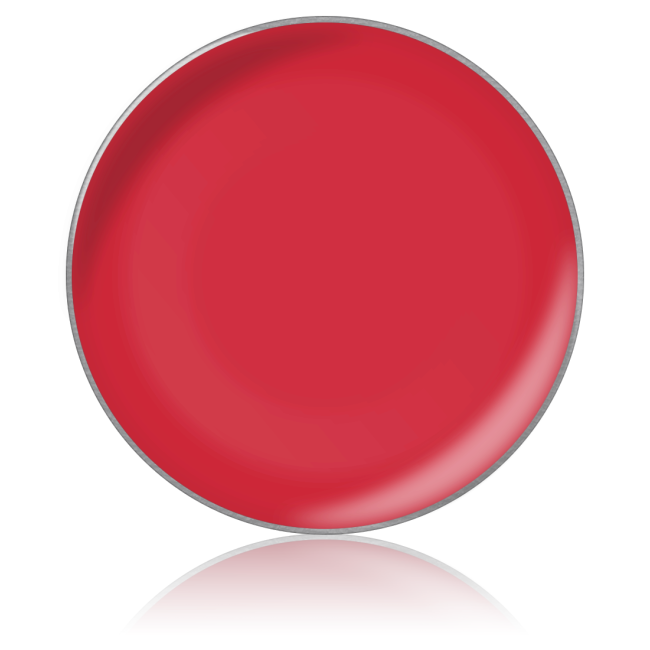 Помада для губ в рефилах Lipstick color № 12, 26 мм Помада для губ в рефилах Lipstick color № 12, 26 мм