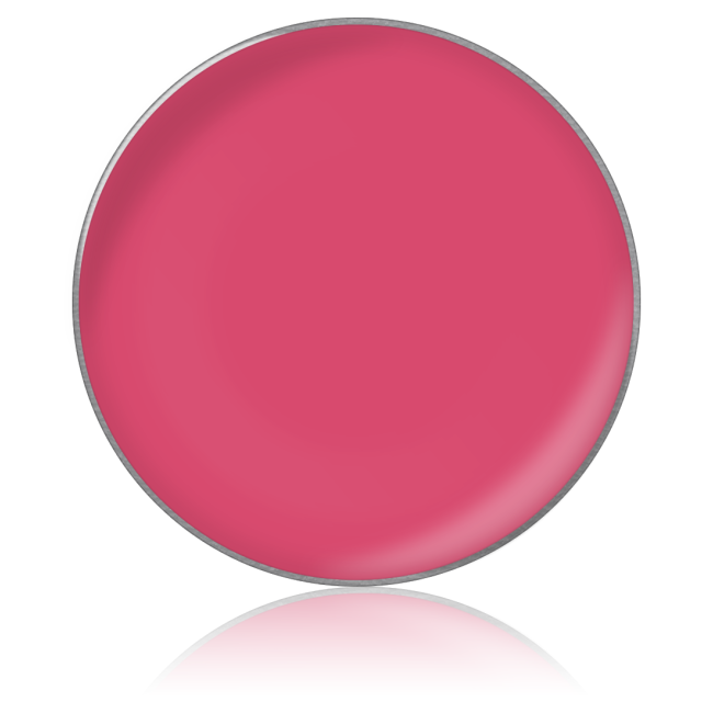 Помада для губ в рефилах Lipstick color № 39, 26 мм Помада для губ в рефилах Lipstick color № 39, 26 мм