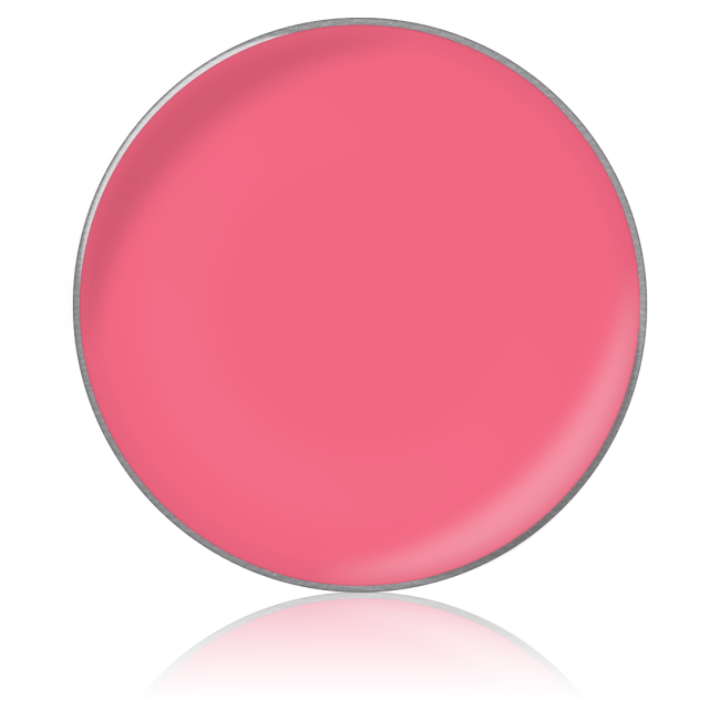 Помада для губ в рефилах Lipstick color № 40, 26 мм Помада для губ в рефилах Lipstick color № 40, 26 мм