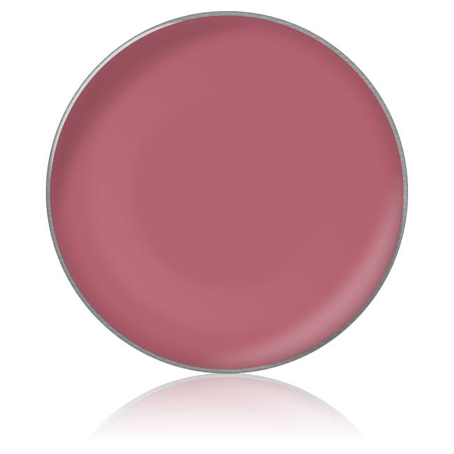 Помада для губ в рефилах Lipstick color № 43, 26 мм Помада для губ в рефилах Lipstick color № 43, 26 мм