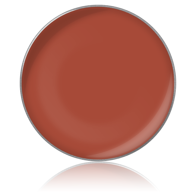 Помада для губ в рефилах Lipstick color № 47, 26 мм Помада для губ в рефилах Lipstick color № 47, 26 мм