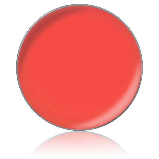 Помада для губ в рефилах Lipstick color № 52, 26 мм Помада для губ в рефилах Lipstick color № 52, 26 мм