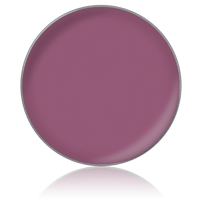 Помада для губ в рефилах Lipstick color № 63, 26 мм Помада для губ в рефилах Lipstick color № 63, 26 мм