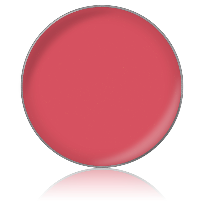 Помада для губ в рефилах Lipstick color №64, 26 мм Помада для губ в рефилах Lipstick color №64, 26 мм