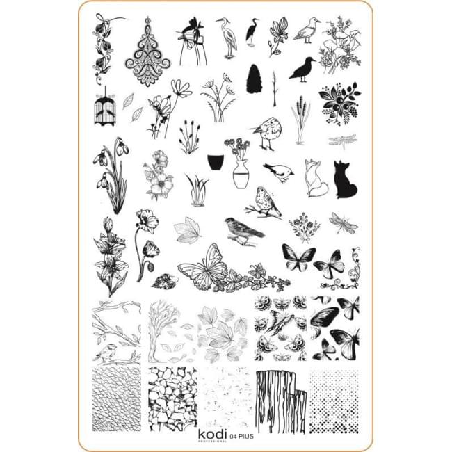 Пластина для стемпинга "Plus size" № 04 (9,5х14,5см) Пластина для стемпинга "Plus size" № 04 (9,5х14,5см)