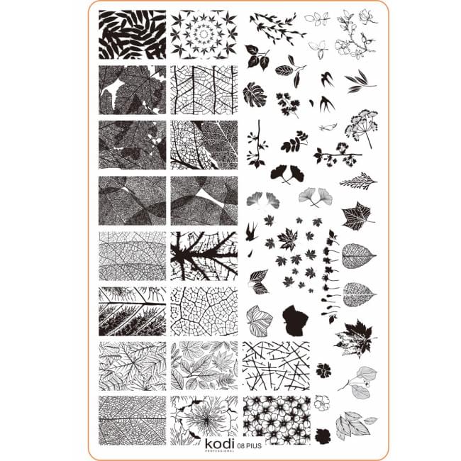 Пластина для стемпінгу "Plus size" № 08 (9,5х14,5см) Пластина для стемпінгу "Plus size" № 08 (9,5х14,5см)