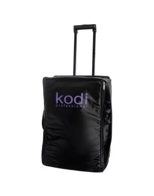 Чемодан Kodi Professional, размер 37х25х53 см, цвет: черный