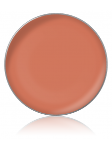 Lipstick color №49 (помада для губ в рефилах), диам.26 мм