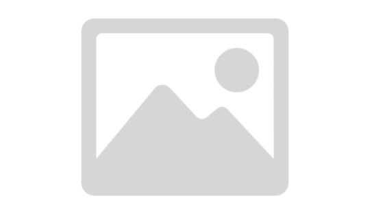 Предложение дня