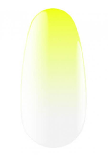 Экспресс-спрей для омбре Express Ombrе Spray, 13