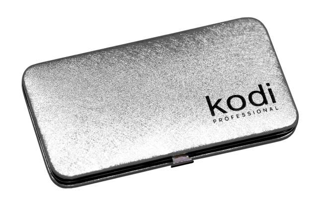 Футляр для пинцетов Kodi professional, цвет: серебро